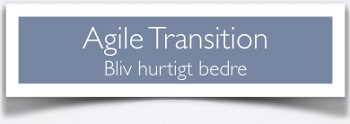 Agile_Transition.png